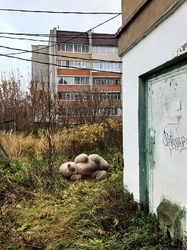 Ликино-Дулёво (Московская область) / ***