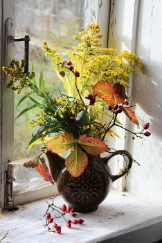 Натюрморт. / Последние растения