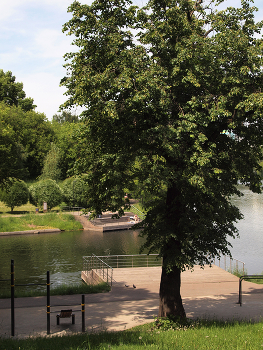 Люблинский парк / Люблинский парк в Москве. Июнь 2024.