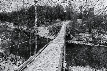 Жизнь вокруг / ***