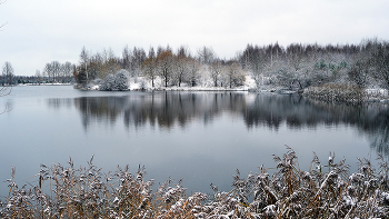 Первый снег. Озеро. / Цнянское водохранилище. Минск. Беларусь. 24.11.2025