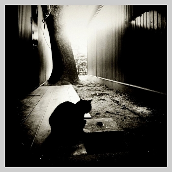 жутко концептуальная фота / ???