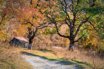 Autumn in Mravaldzali / Осенняя дорога в Mravaldzali