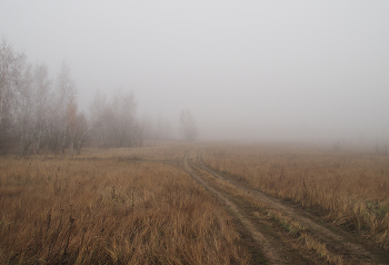 Дорога в туман / ***