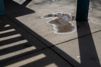 Лужа и тени / ......