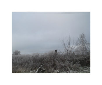 &nbsp; / ноябрь