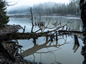 Ноябрь / Унылая пора...