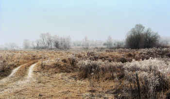 На пороге Зима / Сюжеты ноября