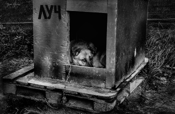 Луч / просто фотка