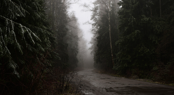 &nbsp; / Туман после ледяной ночи. Дорога на болото