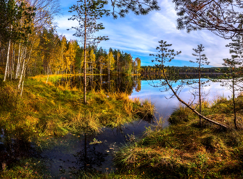 Из серии «Пейзажные картины» / Из фотопроекта «Магия Ленинградской области».
