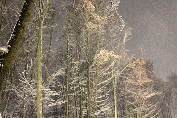 Снег идёт / Метель у нашего дома