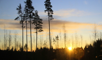 На закате / Вечерний пейзаж.