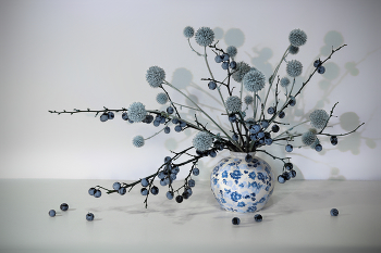 Натюрморт с торном / ***