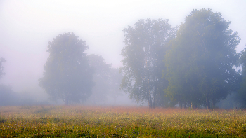 &nbsp; / Летние туманы