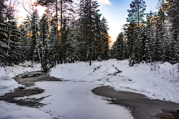 Осенняя дорога / Уральская природа