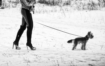 По первому снегу... / ***