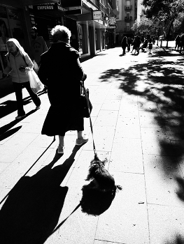 Дама с собачкой / ***