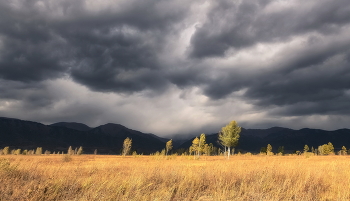 Перед грозой / Алтайская непогода