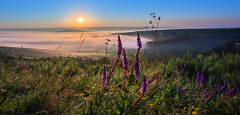 На рассвете / Июль