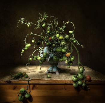 Помидорковое) / Помидорковое)