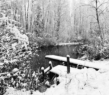&quot;Снег падал мягко, ласково, с душой ...&quot; / &quot;Снег падал мягко, ласково, с душой,
 Шел наугад, но не сбивался с курса.
 И вдруг запахло свежею зимой!
 Сегодня, наконец-то, снег вернулся ...&quot;
 М.Бойкова
