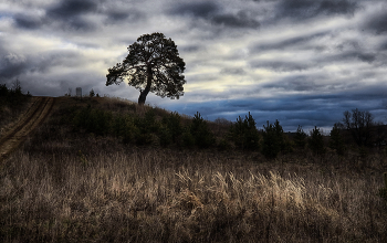 Предзимье / 365-ая осень