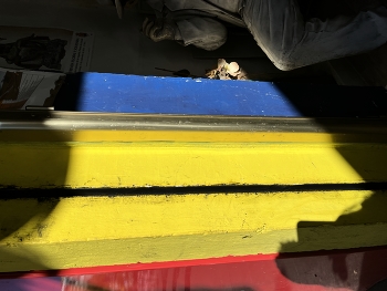 Много цвета и пол мужчины:) / ***