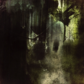 Провокация #5. / ***