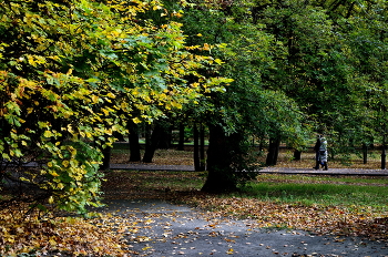 Осенний парк / ***