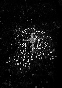 Пора цветения 1 / ...