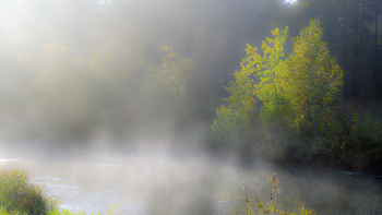 &nbsp; / Осенние туманы