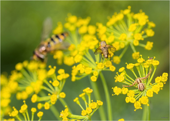 Ну куда же вы, друзья?!.. / ***