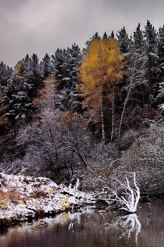Причуды октября. / *Томская область.**