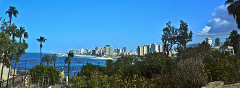 Под синим небом ноября / Тель-Авив-Яффа.

 MC Zenitar 2.8/16 Fish-Eye