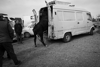 &nbsp; / опоздавший на флешмоб