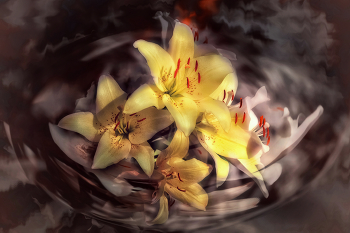 &quot;Как у нас в садочке&quot;. / Лилия длиннолепестковая.