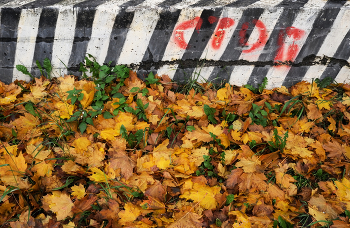 Межсезонье / ***