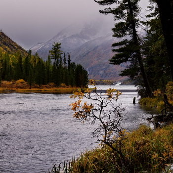 Пасмурно. / **Горный Алтай.*