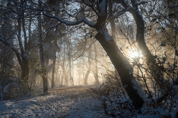Вечер в горах....... / Железноводск. Ноябрь