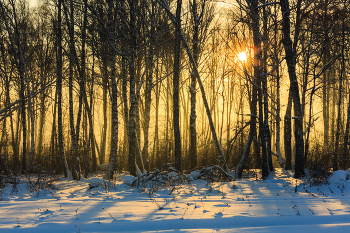 Морозный закат / ***