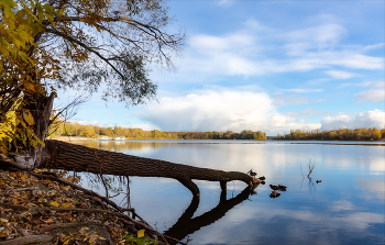 Отшумело / ***