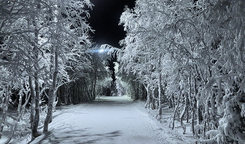 Где ты, ЗИМА _ 2 / Где-то...