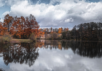 Хмурое утро. / осеннее утро на озере