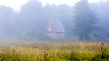 &nbsp; / Осенние туманы