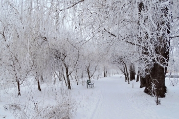 Вот и зима наступила / Вот и зима наступила