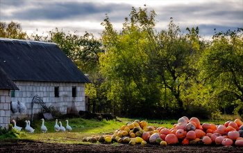 Осенний бенефис / ***