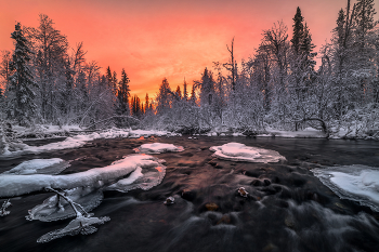 Краснощекая Умболка... / Кольский, Ноябрь 2025
Расписание туров
- 30 декабря - 8 января 2026 Новый год в Ворзогорах - МЕСТ НЕТ
- 24 января - 1 февраля 2026 Архангельская область. Ворзогоры, Кимжа, Пинега и т.д. - места есть
- 14 - 22 Февраля 2026 За Сиянием на Кольский - МЕСТ НЕТ
- 15 - 25 апреля 2026 Неземные пейзажи Казахстана. Мангистау - места есть
- 23 - 31 мая 2026 Реликтовая Русь - Весна в Кенозерье - 2 места
- 6 - 14 июня 2026 Белые ночи на Ладоге. Лахденпохья - места есть
- 20 июня - 5 июля 2026 Встречаем весну на озере Джека Лондона - места есть
- 11 - 26 июля 2026 Деревянное зодчество Архангельской области. К Белому морю вдоль Онеги и дальше - места есть
- 29 августа-13 сентября 2026 Золотая осень на озере Джека Лондона. Колыма - места есть
- 19 - 27 сентября 2026 Реликтовая Русь - Золотая осень в Кенозерье - места есть
- 3 - 11 октября 2026 Золотая осень на Ладоге. Питкяранта - места есть