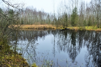 &quot;Повсюду роковая молчаливость ...&quot; / &quot;Повсюду роковая молчаливость
 И тучи заслоняют солнца свет,
 Грусть воцарилась, безнадежная унылость,
 Ведь яркости в палитре Осени уж нет ...&quot;
 И. Шах