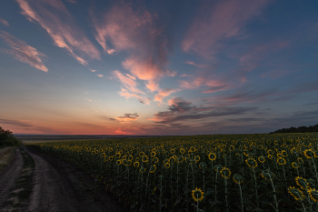 В ожидании солнца / ***